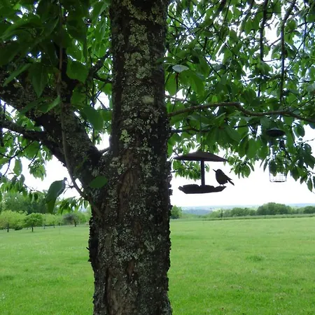 Britavit Saint-Avit-Senieur