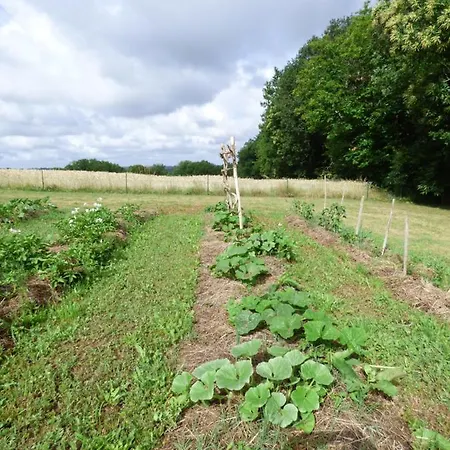 Bed & Breakfast Britavit 3*