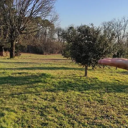 Britavit Bed & Breakfast Saint-Avit-Senieur