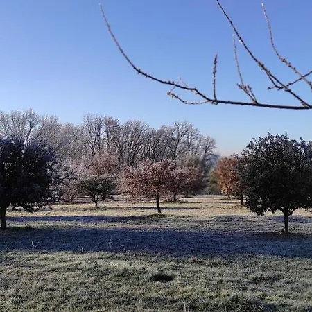 Britavit Bed & Breakfast 3*