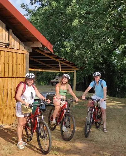 Bed and breakfast Britavit Saint-Avit-Sénieur