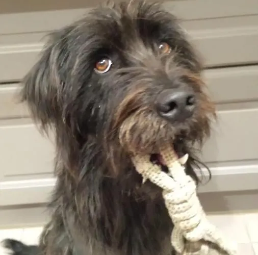 Bed and breakfast Britavit 3*