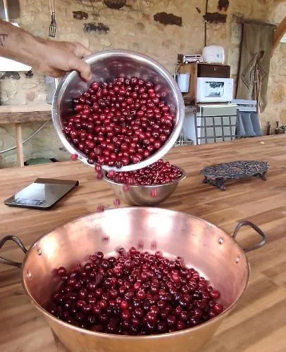 Britavit 3* Saint-Avit-Sénieur