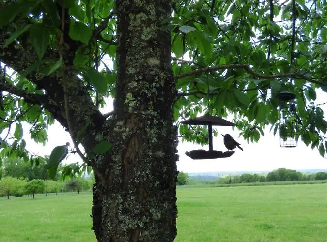 Britavit Saint-Avit-Sénieur