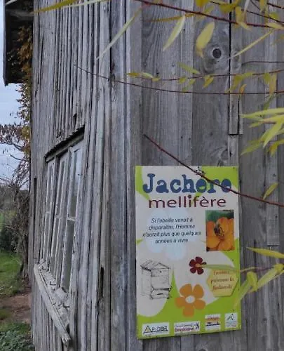 Bed and breakfast Britavit Saint-Avit-Sénieur