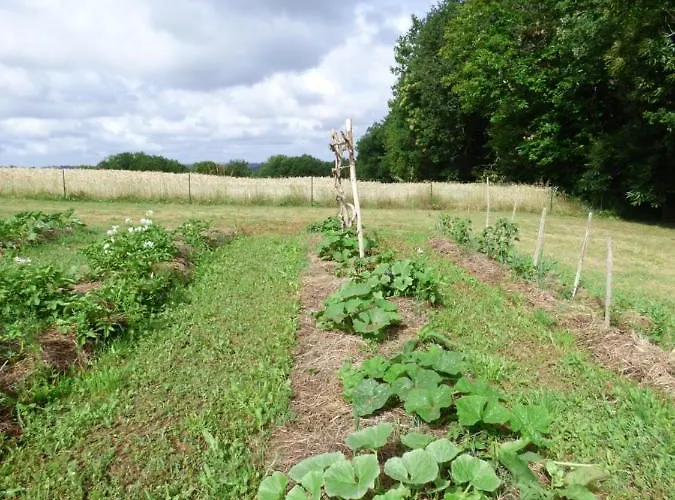 Bed and breakfast Britavit 3*