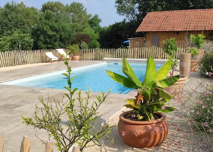 Bed and breakfast Britavit Saint-Avit-Sénieur