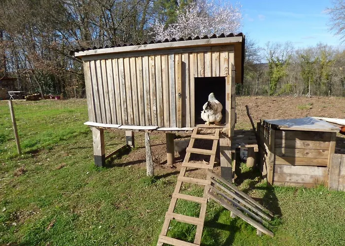 Britavit Bed and breakfast Saint-Avit-Sénieur