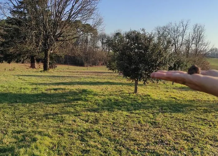 Britavit Bed and breakfast Saint-Avit-Sénieur