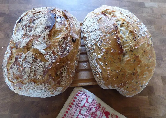 Britavit Bed and breakfast Saint-Avit-Sénieur