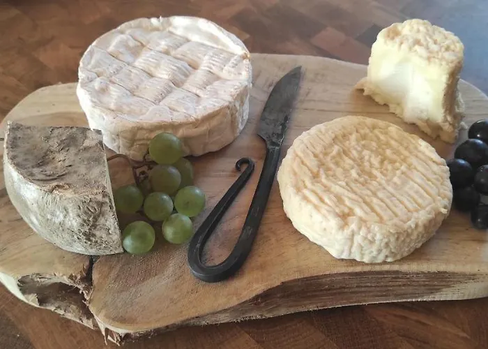 Bed and breakfast Britavit Saint-Avit-Sénieur