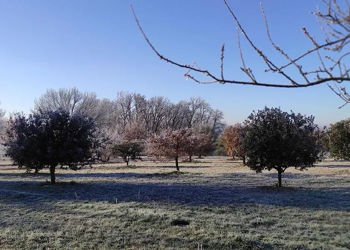 Britavit Bed and breakfast 3*